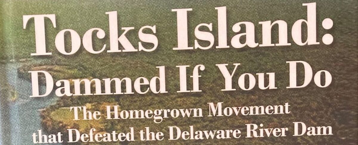 Cropped image of the cover of David C. Pierce's book "Tocks Island: Dammed If You Do"
